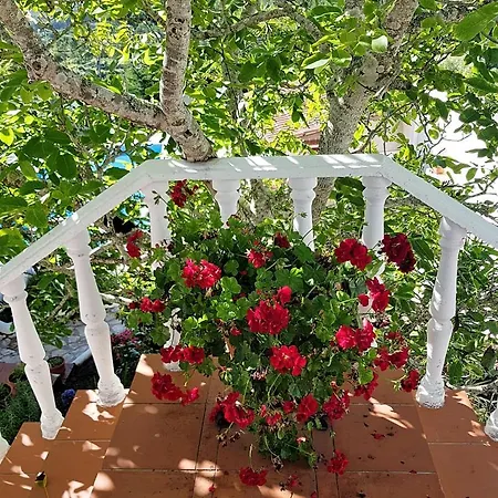Casa Margaridas Maison d'hôtes Caldas Da Rainha