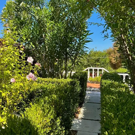 Casa Margaridas Guest house Caldas Da Rainha